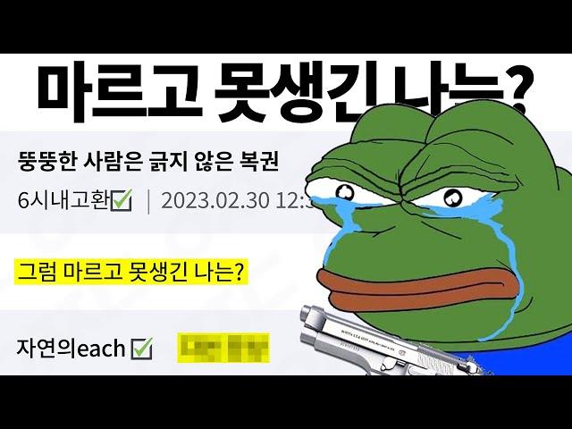 웃긴 짤들 484편