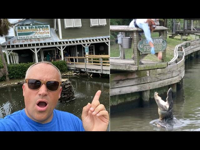 Alligator Adventure North Myrtle Beach | Gator Feeding | The King Of Crocs "U-TAN"