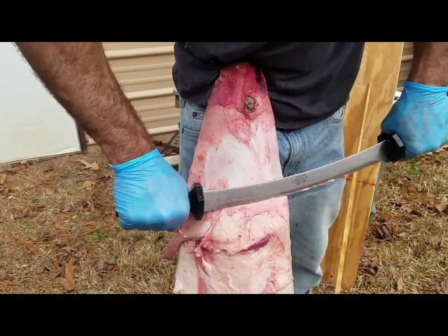 Raccoon Fleshing - Professional Fur Handling Techniques #lazypondfarm Fish & Hunt