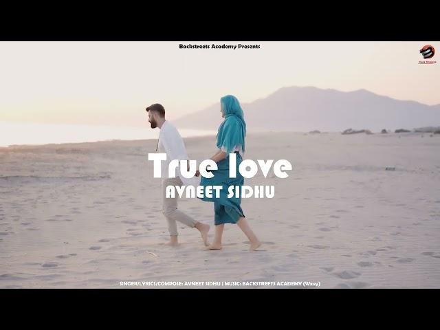 True Love | Avneet Sidhu | Latest punjabi Song | New punjabi song 2024