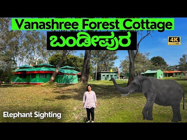 ONE NIGHT STAY in BANDIPURA - BANDIPURA FOREST COTTAGES - VANASHREE FOREST STAY - STAY in BANDIPURA