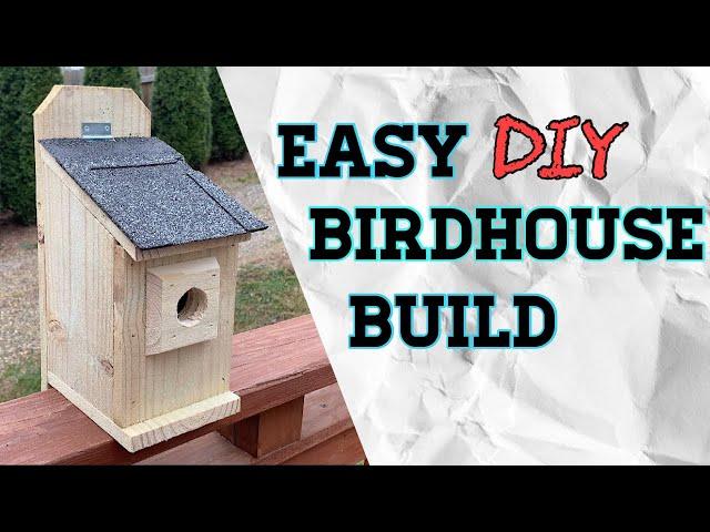 How to Build a Birdhouse Under $3.00