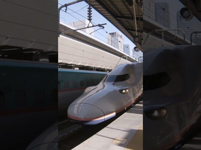 Shinkansen bullet train double decker #shorts