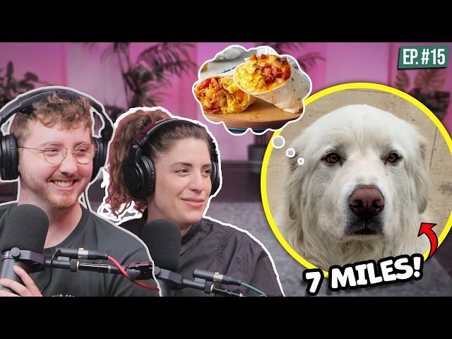 Dog Makes 7 Mile Midnight Trek For Breakfast Burrito!