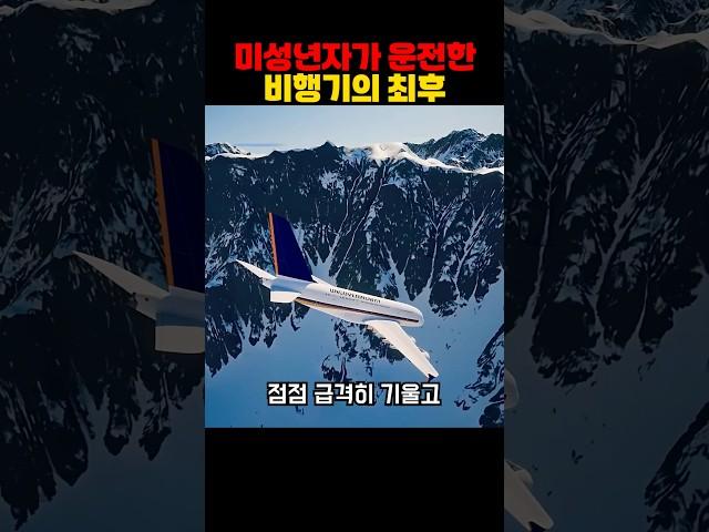 미성년자가 운전한 비행기의 최후