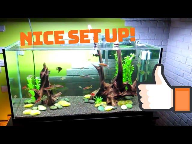 90 Gallon Fish Tank: Good Fish Selection