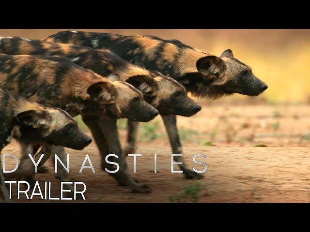 Dynasties:  Official Trailer #2 | New David Attenborough Series | BBC Earth