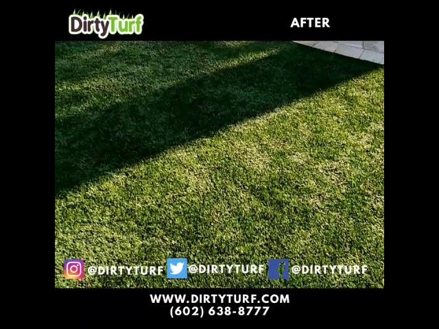 Turf Cleaning 400 sqft by Dirty Turf Anthem Arizona