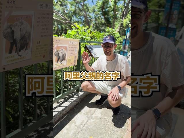 阿里的 #爸爸 是誰? 太不象話了!  - 安德鏡頭下的世界