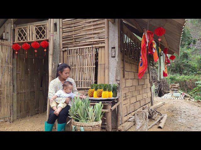 Harvesting pineapples, growing tops around the house | Ly Tieu Mai