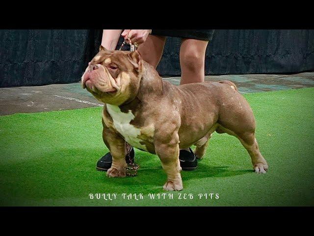 RUMBLE IN THE JUNGLE 5.0 DOCUMENTARY PART 1 AMERICAN BULLY: BULLY TALK WITH ZEB PITS