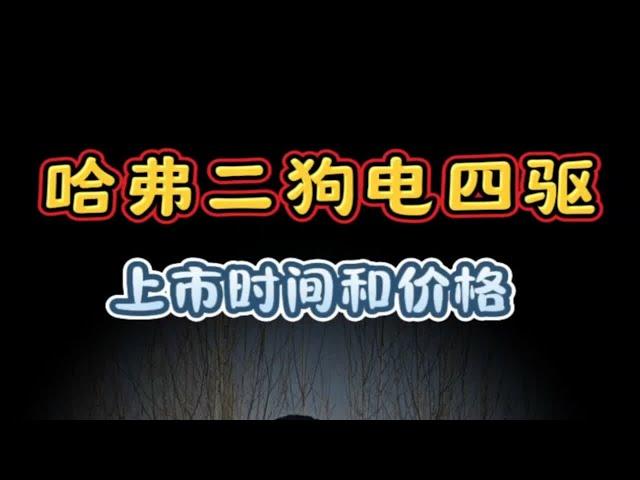 来了，来了，它真的来了长城汽车 哈弗二代大狗