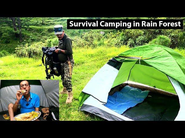 Solo Camping in Wild Forest | Cooking in Rain Forest | Uttarakhand Camping