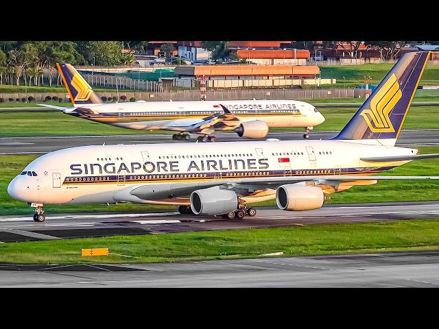 30 MINS of Plane Watching at Singapore Changi Airport 