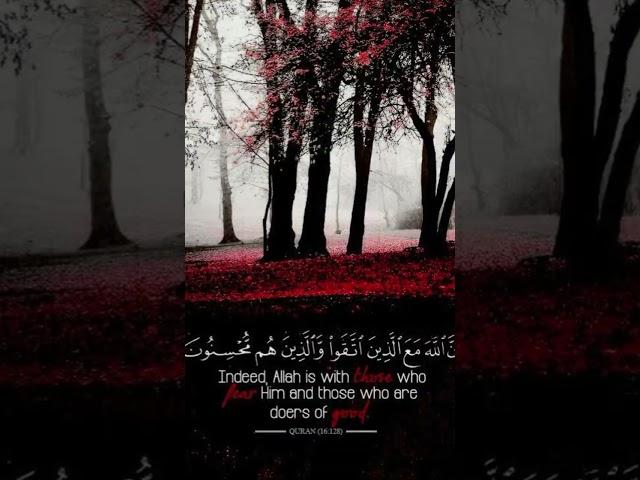 واصبر أن الله لايضيع اجر المحسنين