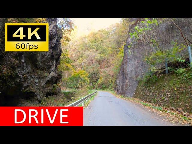 【Driving in Japan】Forest Road Ōgami Line: Sakuho - Nammoku（車載動画 林道大上線）[4K]