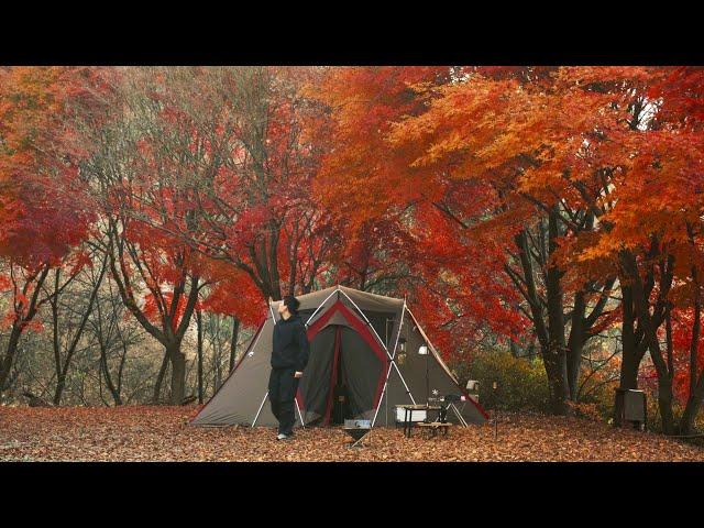 The Most Beautiful Autumn Camping in Korea