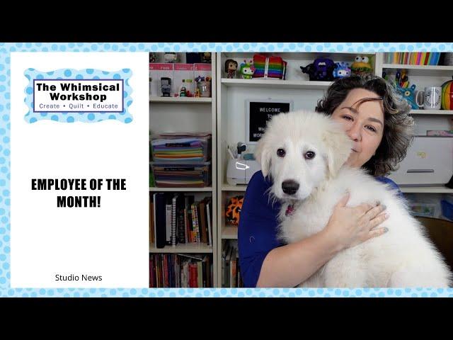 Meet the Newest member of our Team | The Whimsical Workshop