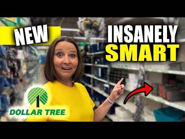 NEW Dollar Tree Hacks That Make RV Life Easier (Storage Included!)