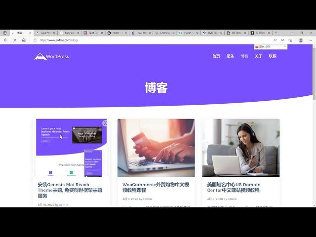 Mai Reach主题, Mai Reach主题实例, 最佳商业WordPress主题建站教程下载 (免费视频)