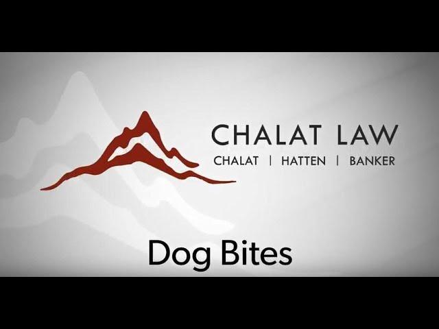 Dog Bite Lawyer Chalat Law Video