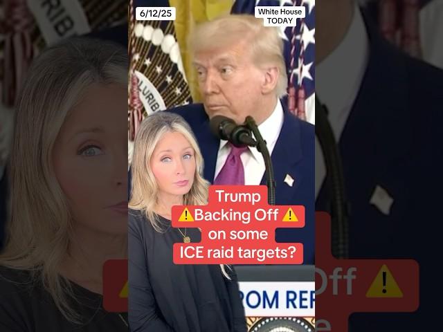 Too far? Trump Questions His Own ICE Immigration Enforcement Efforts