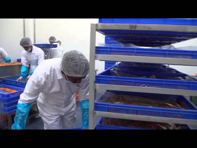 Asmak International Fish Farming Company promotional movie