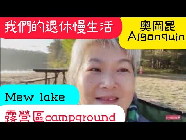 《加拿大自駕遊》Canada algonquin Mew lake campground奧岡昆露營環境真是沒話說太美啦我們的退休慢生活＃ivy88856#ivy家在多倫多#露營＃奧岡昆