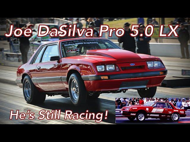 Joe DaSilva's '86 LX Pro 5.0 Coupe | Canada's Famous Foxbody Mustang Now Coyote/Stick Combo!