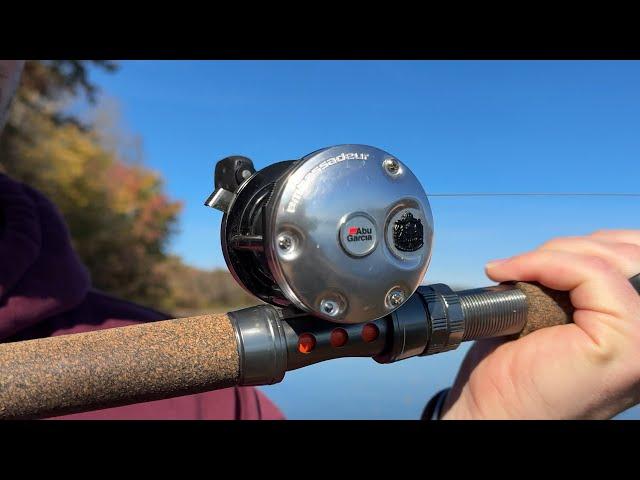 A BULLETPROOF Fishing Reel! Abu Garcia Ambassador C3 6500 Long Term Review