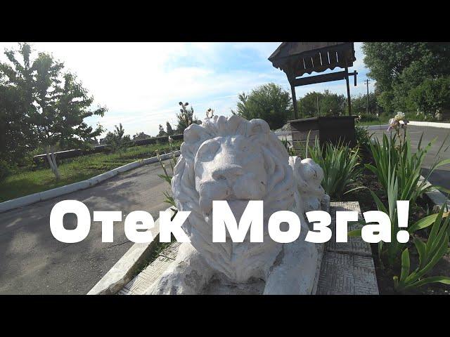 Дорога длинною в жизнь! Отек Мозга! (VLOG) [CTARUJ]