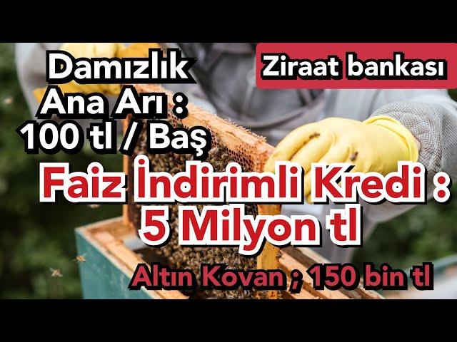 Arıcılık için Yeterli Sermayeniz Yokmu ? İşletmenizi Büyütmek mi İstiyorsunuz ? İşte fırsat #shorts