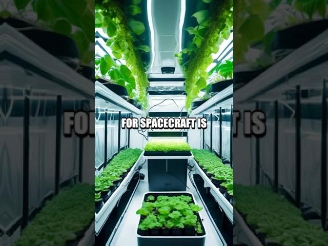 Unveiling Dr. Ivan Lee's Advancements in Space Farming