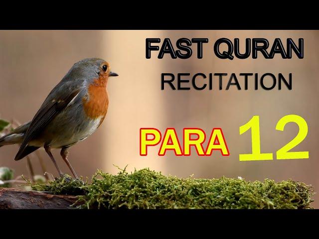 Quran Para 12 ; Fast Quran | Beautiful Recitation of Quran |Raheemi Tv