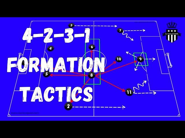 4231 Tactics and Analysis [Roles of EACH position]