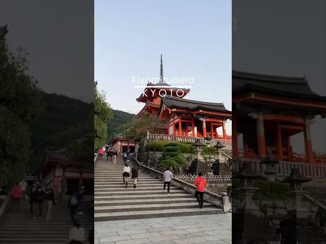 Kiyomizu - Dera - Temple - Kyoto  #japan #japantravel #japantrip #japangram #kyotojapan