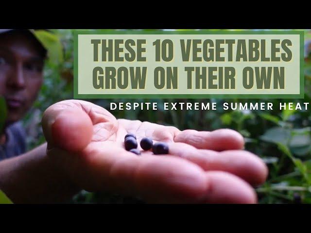 10 Vegetables that Grow on their Own Despite Extreme Heat