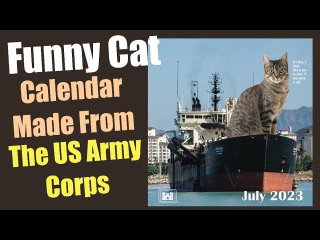 Funny Cat Calendar made by the US Army Corps #shorts