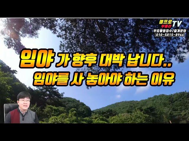 (대박) 부동산 임야를 투자 해야하는 이유 농지보다 나은 임야재테크의 포인트와 향후 임야가치 재평가-일반 부동산재테크 전원주택 펜션 토지 전문 프로공인중개사/건축기사