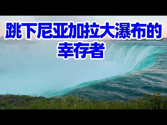 【尼亚加拉瀑布2】從尼亞加拉大瀑布落下的幸存者和故事/尼亚加拉瀑布/尼亚加拉大瀑布/尼亚加拉瀑布旅游/尼亚加拉大瀑布攻略