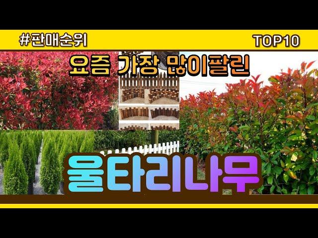 울타리나무 추천 판매순위 Top10 || 가격 평점 후기 비교