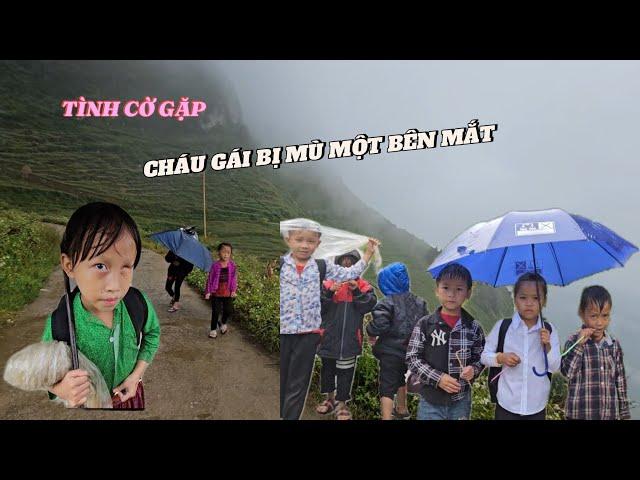 VÌ TƯƠNG LAI SAU NÀY NÊN CÁC CHÁU ĐI TRỜI MƯA TÌM CON CHỮ  | MỶ VLOG