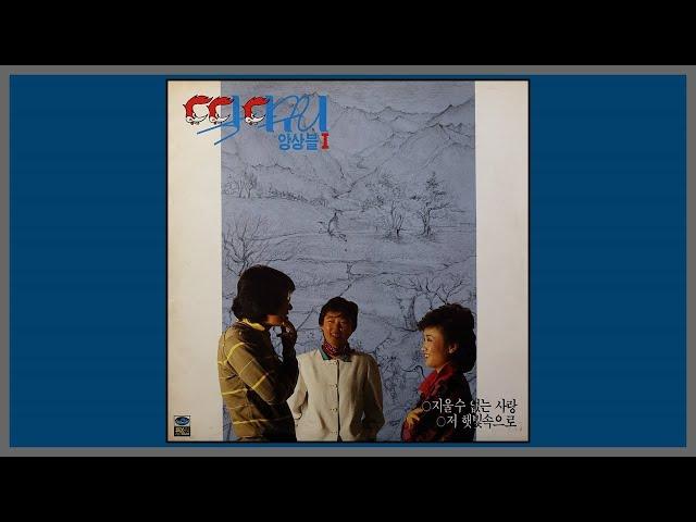 지울수 없는 사랑 - 딱다구리 앙상블 / (1985) (가사)