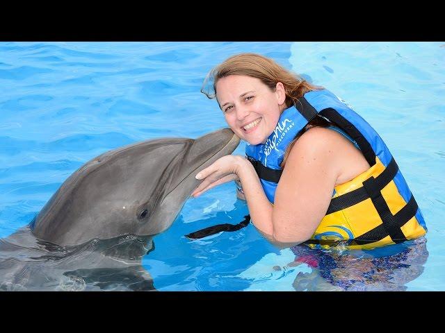 Dolphin Encounter | Punta Cana Tours