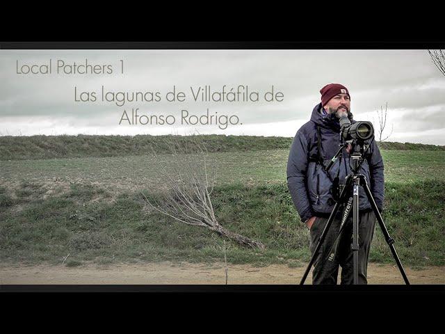 Local Patchers 1: Las Lagunas de Villafáfila de Alfonso Rodrigo