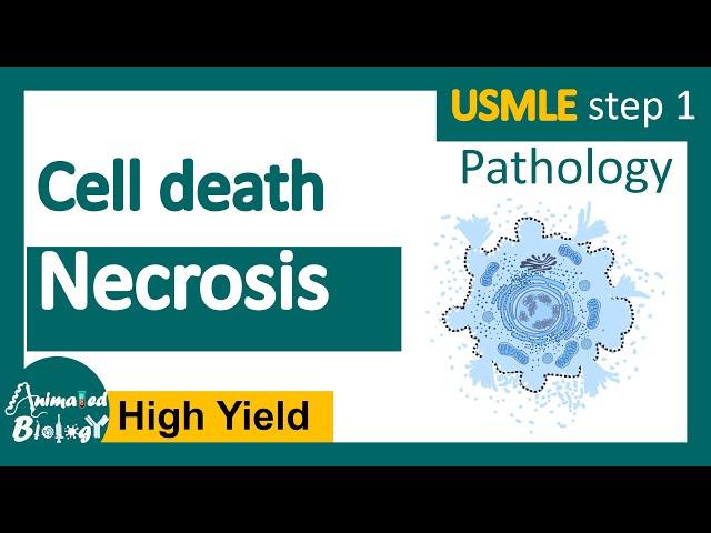 Necrosis and its subtypes | Necrosis - Cell Injury - General Pathology | USMLE step 1