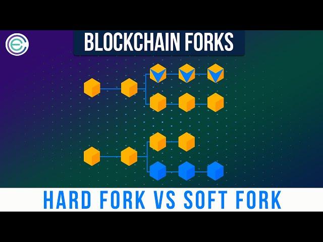 What are Blockchain Forks?  Hard Fork Vs Soft Fork | Cryptela