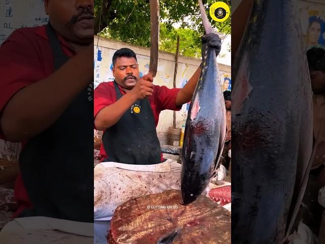 Tuna fish bone marrow. 