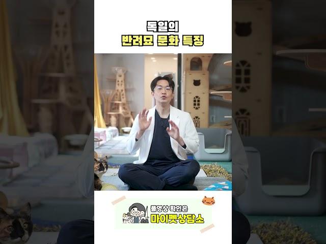 독일은 길냥이를 어떻게 대할까?