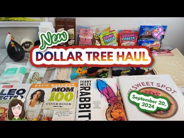 NEW DOLLAR TREE HAUL!  Everything was $1.25! September 20, 2024